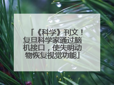 《科学》刊文！复旦科学家通过脑机接口，使失明动物恢复视觉功能