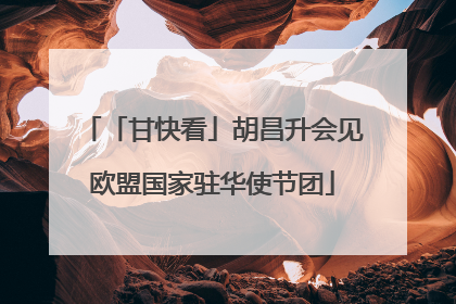 「甘快看」胡昌升会见欧盟国家驻华使节团