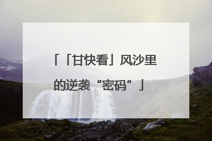 「甘快看」风沙里的逆袭“密码”