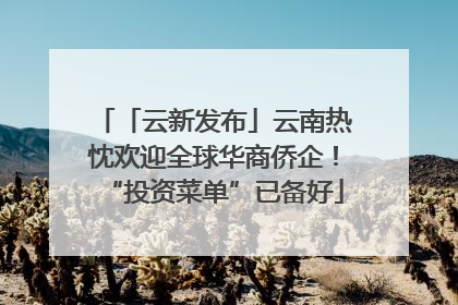 「云新发布」云南热忱欢迎全球华商侨企！“投资菜单”已备好