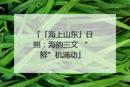 「海上山东」日照：海韵三文 “鲜”机涌动
