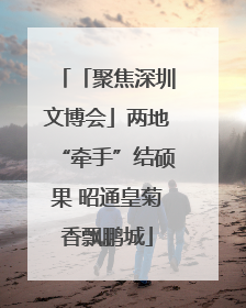 「聚焦深圳文博会」两地“牵手”结硕果 昭通皇菊香飘鹏城