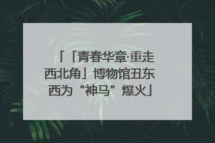 「青春华章·重走西北角」博物馆丑东西为“神马”爆火