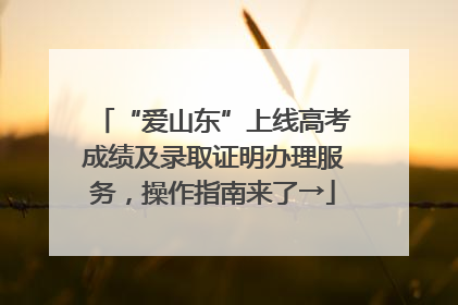 “爱山东”上线高考成绩及录取证明办理服务，操作指南来了→