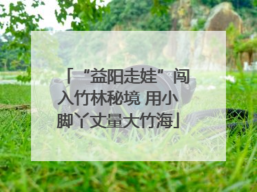 “益阳走娃”闯入竹林秘境 用小脚丫丈量大竹海