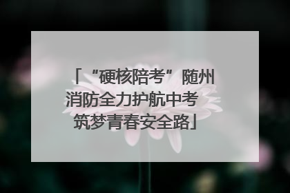 “硬核陪考”随州消防全力护航中考 筑梦青春安全路