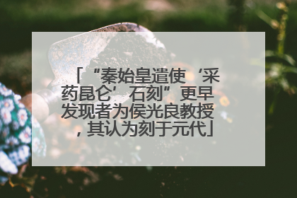 “秦始皇遣使‘采药昆仑’石刻”更早发现者为侯光良教授，其认为刻于元代