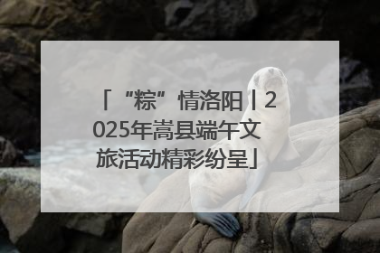 “粽”情洛阳丨2025年嵩县端午文旅活动精彩纷呈