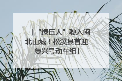 “绿巨人”驶入闽北山城！松溪县首迎复兴号动车组