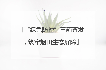 “绿色防控”三箭齐发，筑牢烟田生态屏障