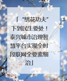 “绣花功夫”下到民生要处！泰兴城市治理智慧平台实现全时段联网全要素细治