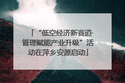“低空经济新赛道·管理赋能产业升级”活动在萍乡安源启动