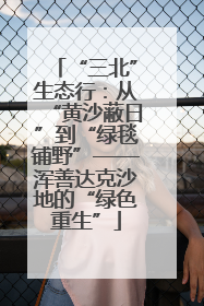 “三北”生态行：从“黄沙蔽日”到“绿毯铺野”——浑善达克沙地的“绿色重生”