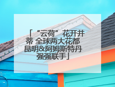 “云荷”花开并蒂 全球两大花都昆明&阿姆斯特丹强强联手