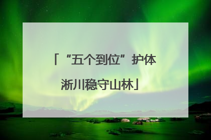 “五个到位”护体 淅川稳守山林