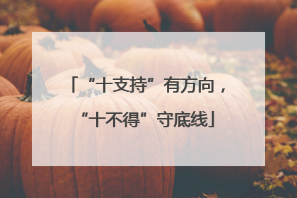 “十支持”有方向，“十不得”守底线