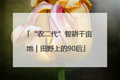 “农二代”智耕千亩地｜田野上的90后