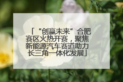 “创赢未来”合肥赛区火热开赛，聚焦新能源汽车赛道助力长三角一体化发展