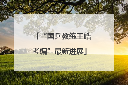 “国乒教练王皓考编”最新进展