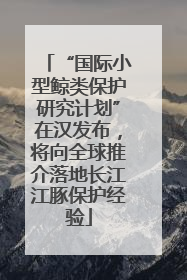 “国际小型鲸类保护研究计划”在汉发布，将向全球推介落地长江江豚保护经验