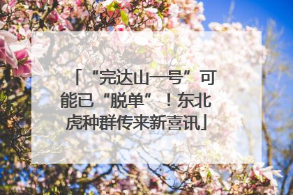 “完达山一号”可能已“脱单”！东北虎种群传来新喜讯