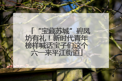 “宝藏苏城”碧凤坊有礼！新时代青年榜样喊话宝子们这个六一来平江街道
