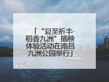 “夏至祈丰·稻香九洲”插秧体验活动在南昌九洲公园举行