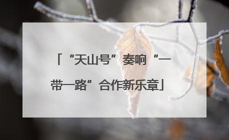 “天山号”奏响“一带一路”合作新乐章