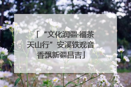 “文化润疆·福茶天山行”安溪铁观音香飘新疆昌吉