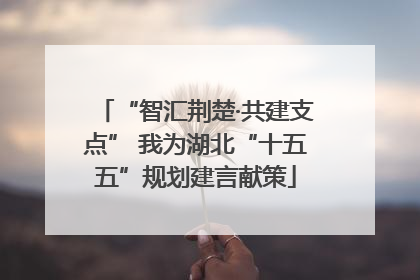 “智汇荆楚·共建支点” 我为湖北“十五五”规划建言献策