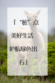 “桩”点美好生活 护航绿色出行