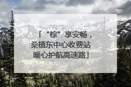 “棕”享安畅，桑植东中心收费站暖心护航高速路