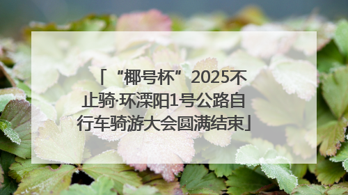 “椰号杯”2025不止骑·环溧阳1号公路自行车骑游大会圆满结束