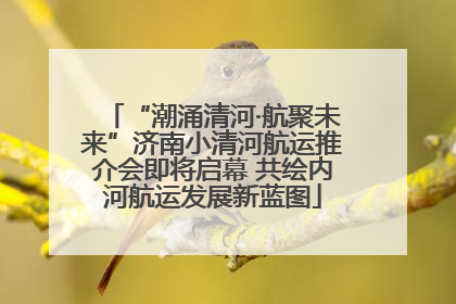 “潮涌清河·航聚未来”济南小清河航运推介会即将启幕 共绘内河航运发展新蓝图