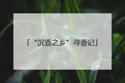 “沉香之乡”寻香记