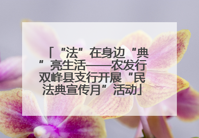 “法”在身边“典”亮生活——农发行双峰县支行开展“民法典宣传月”活动