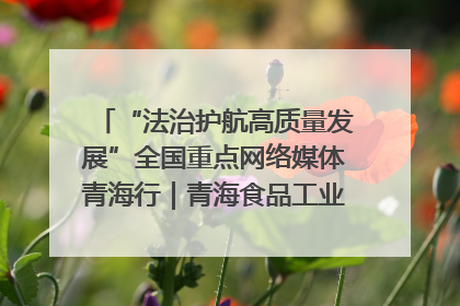 “法治护航高质量发展”全国重点网络媒体青海行｜青海食品工业协会：架起“青字号”美食的产业化桥梁