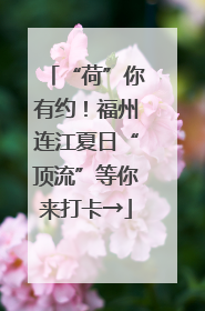 “荷”你有约！福州连江夏日“顶流”等你来打卡→