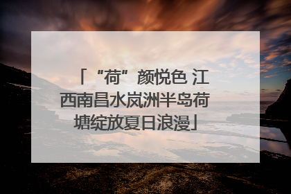 “荷”颜悦色 江西南昌水岚洲半岛荷塘绽放夏日浪漫