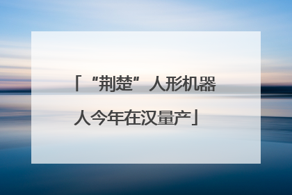“荆楚”人形机器人今年在汉量产