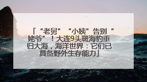 “老舅”“小姨”告别“姥爷”！大连9头斑海豹重归大海，海洋世界：它们已具备野外生存能力