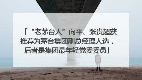 “老茅台人”向平、张贵超获推荐为茅台集团副总经理人选，后者是集团最年轻党委委员