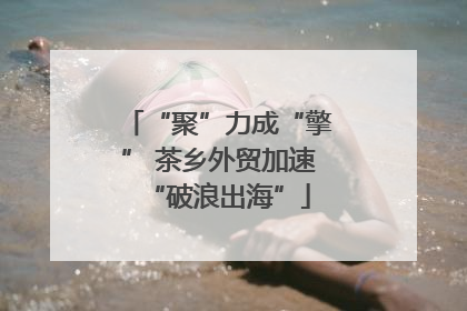 “聚”力成“擎” 茶乡外贸加速“破浪出海”