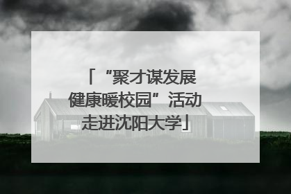 “聚才谋发展 健康暖校园”活动走进沈阳大学