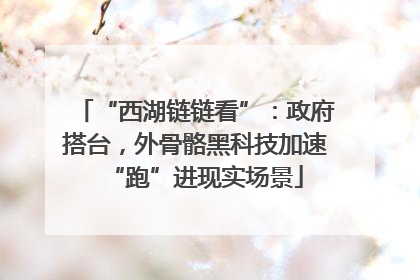 “西湖链链看”：政府搭台，外骨骼黑科技加速“跑”进现实场景