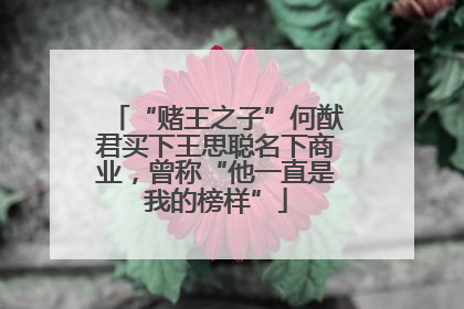 “赌王之子”何猷君买下王思聪名下商业，曾称“他一直是我的榜样”