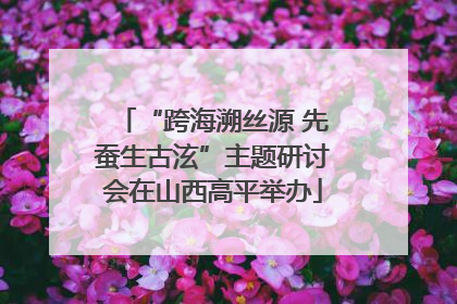 “跨海溯丝源 先蚕生古泫”主题研讨会在山西高平举办