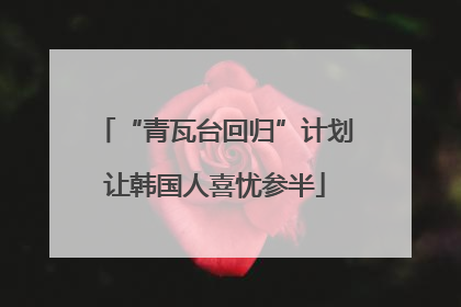 “青瓦台回归”计划让韩国人喜忧参半