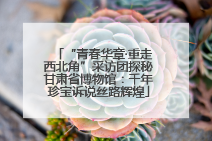 “青春华章·重走西北角”采访团探秘甘肃省博物馆：千年珍宝诉说丝路辉煌