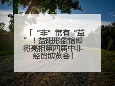 “非”常有“益”！益阳形象馆即将亮相第四届中非经贸博览会